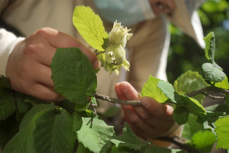 Türkiye Ekonomisine 1,4 Milyar Avro Katkı Sağladı