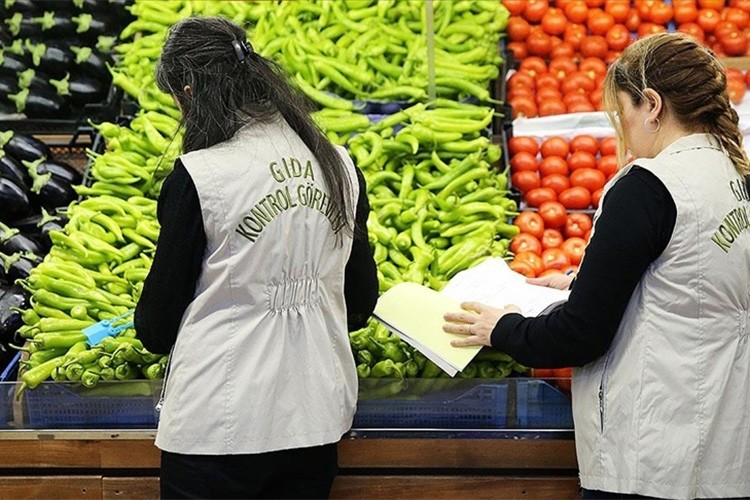 Geçen yıl 1,3 milyonu aşkın gıda denetimi yapıldı