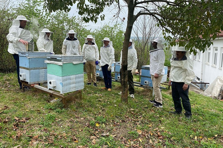 Ordu'da 30 ülkeden gelen arıcılara eğitim verildi