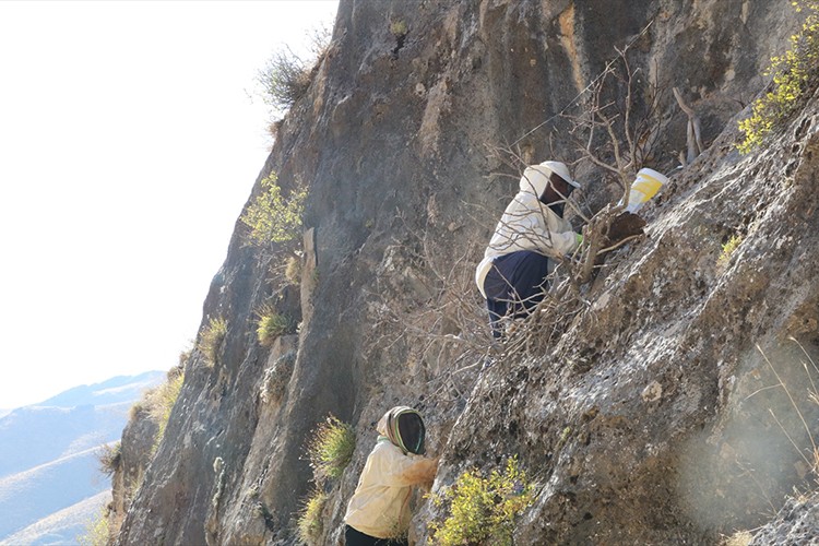 Dağlardan toplanan bal çiftçiye gelir sağlıyor