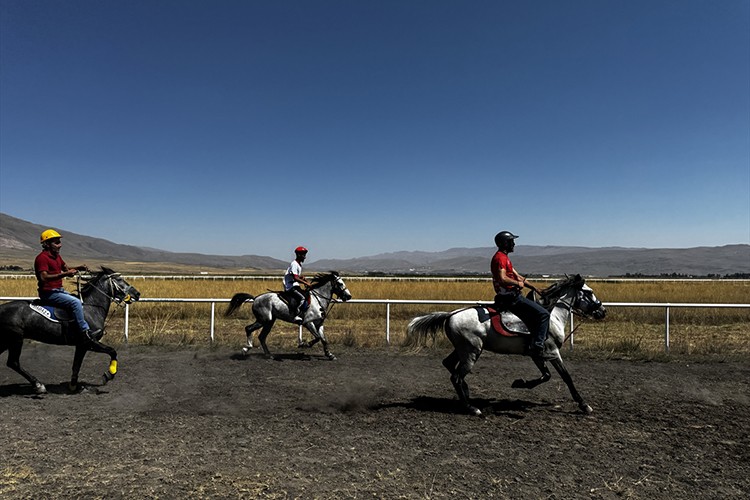 Erzurum'da "3. Geleneksel Rahvan At Yarışları" düzenlendi