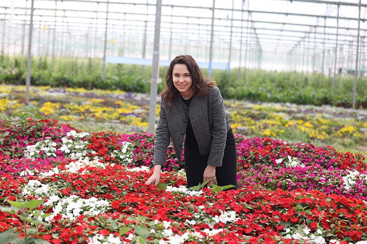 Menekşeyle tarımda dönüşüm