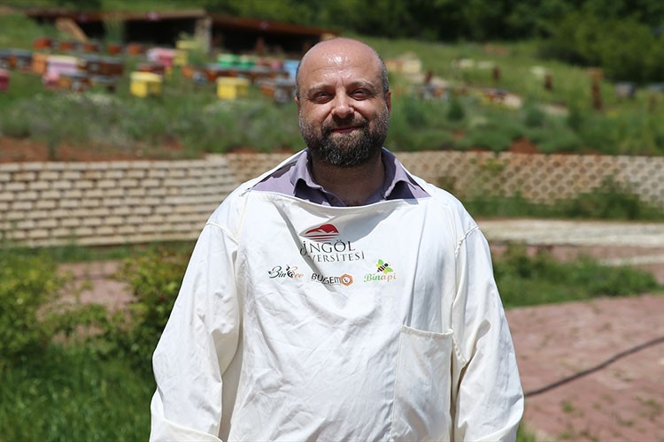 Anadolu'ya gelen arı kuşları kolonilere zarar veriyor