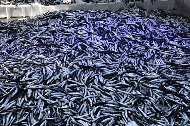 9,7 milyon dolar kazandırdı