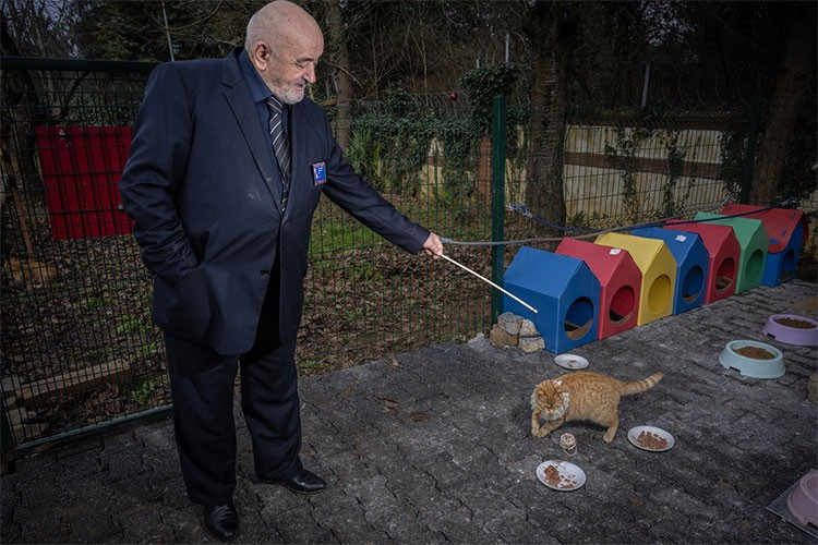Huzurevi sakinleri patili dostları için "kedi huzurevi" kurdu