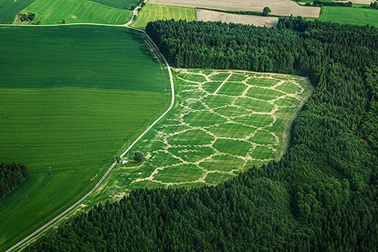 Tarım yenilikleri dünyayı kurtaracak