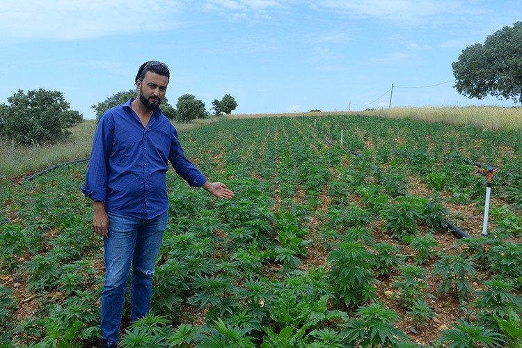 Çiftçinin geliri artacak