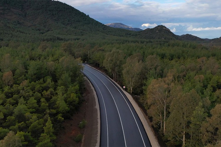 96,7 milyon fidan toprakla buluştu