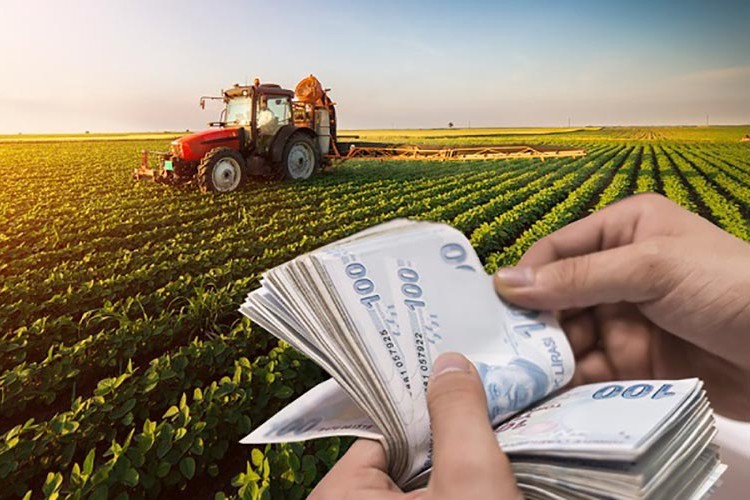 Çiftçilere destekleme ödemesi bugün yapılacak