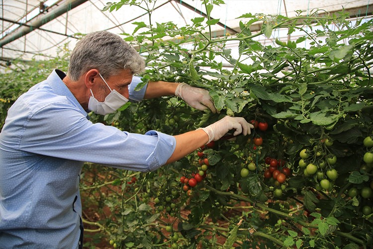 Seralarda Ramazan mesaisi