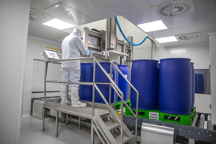 Sunar Mısır'dan stratejik atılım