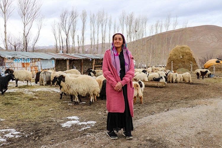 Ortopedik engelli kadın, sürü sahibi oldu