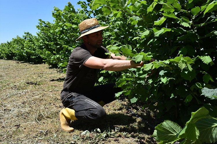 İyileştirmelerle verim %57 arttı