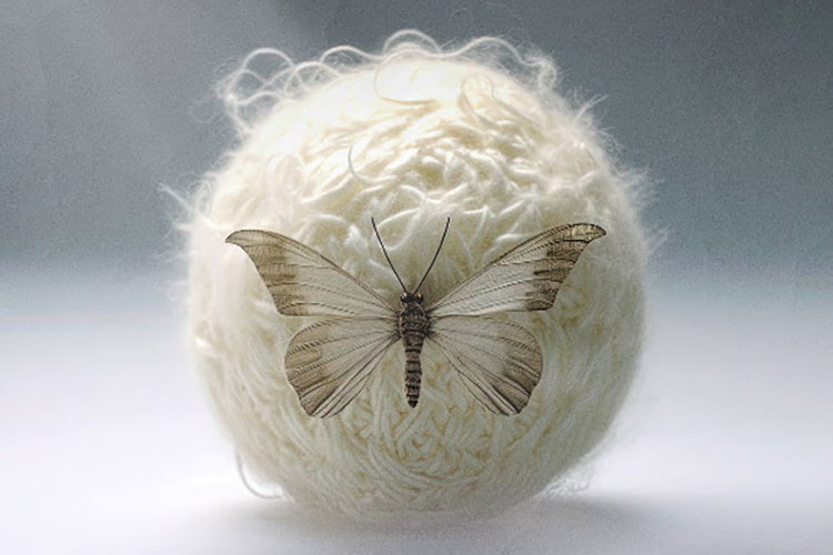 Gece Yolcuları'nda Ölüm de Var