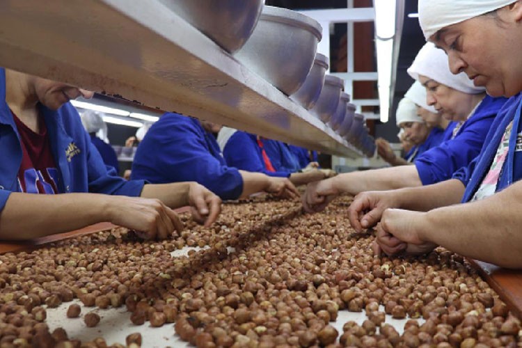 Fındık ihracatından 2,4 milyar doları aşkın gelir sağladık