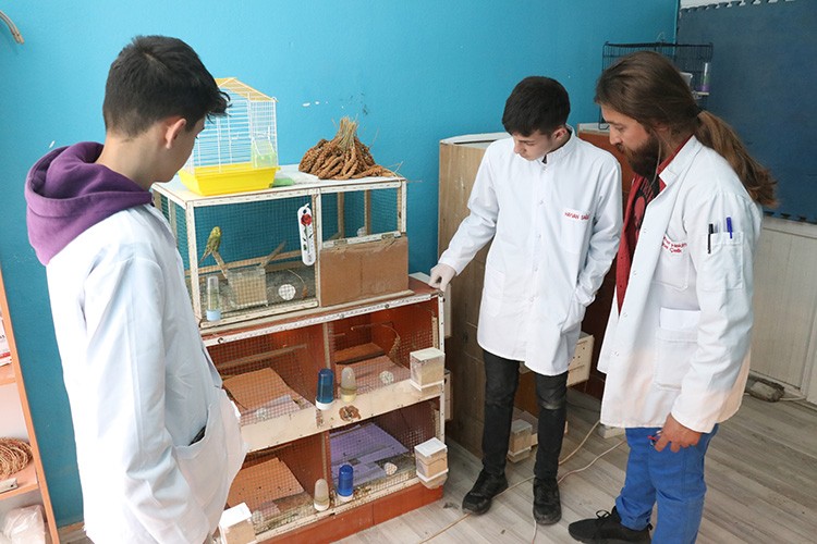 Hayvancılık alanında da yetkin bireyler yetiştiriliyor