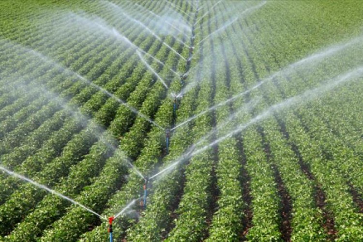 3 yılda 420 bin hektar tarım alanını suyla buluşturacak