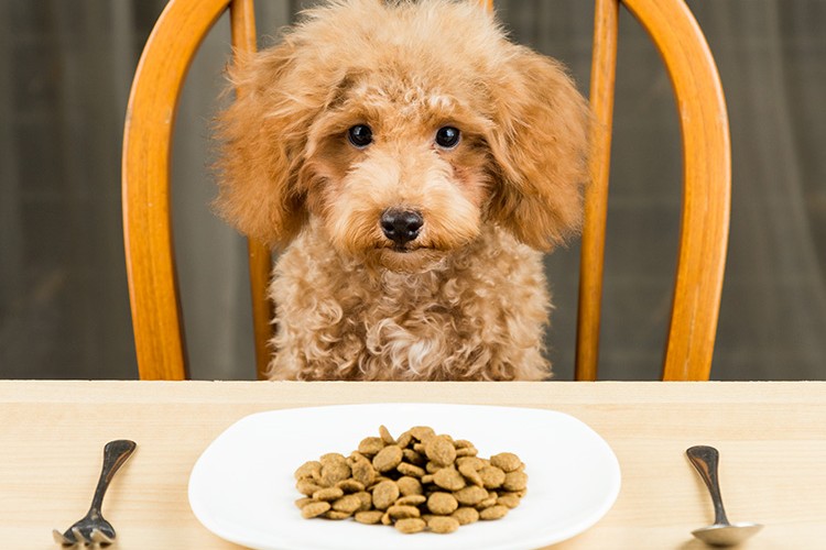 Obezitenin tehlikelerini hafife almayın