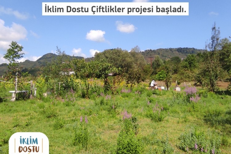Buğday Derneği iklim Dostu Çiftlikler Projesi Başladı