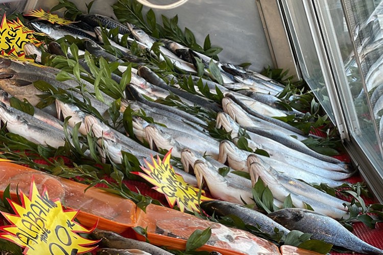 Karadeniz'deki avcılık yasağının fiyatlara yansıması bekleniyor