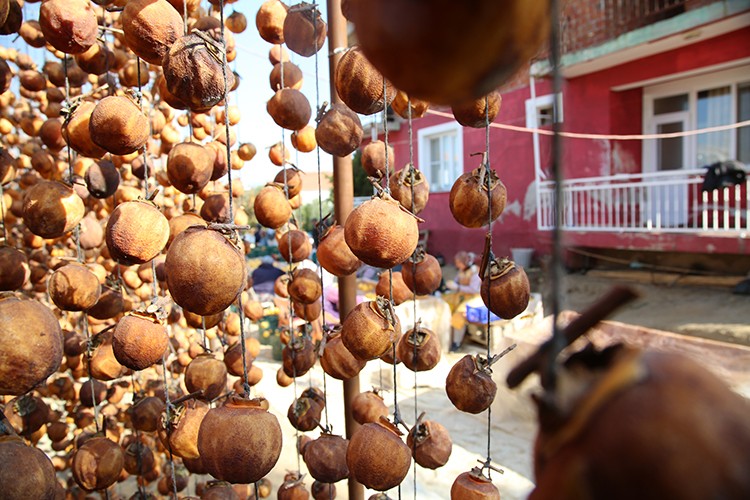 Kurutup geliri katladılar