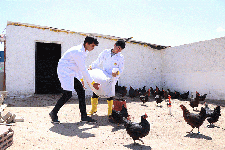 Okulda çiftçilik eğitimi