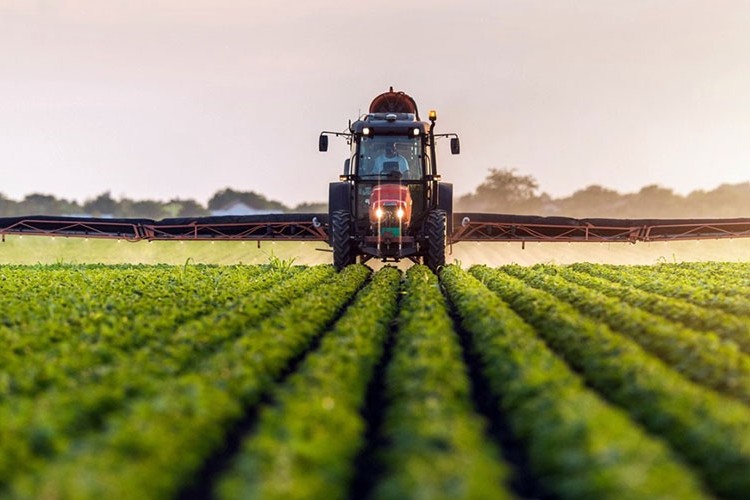 Tarım ürünleri üretici fiyaları aylık %0,95 azaldı