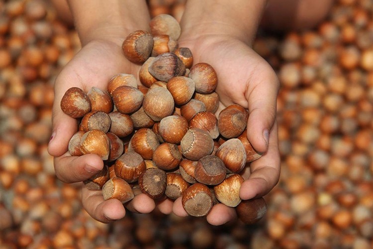 "Doğruları söyleyeceğiz"