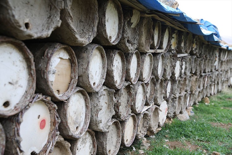 Pervari balı izole bölgelerde üretilerek marka değeri korunuyor