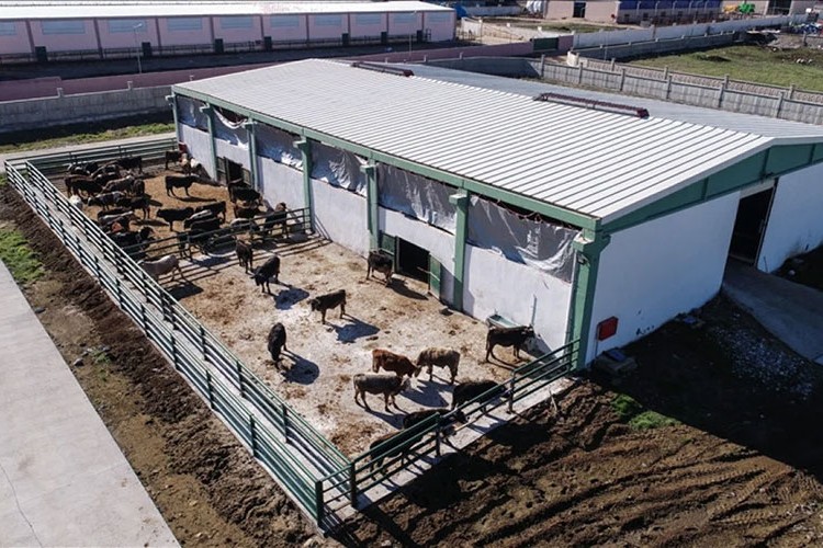 Besi organize tarım bölge sayısı 31'e çıkarılacak