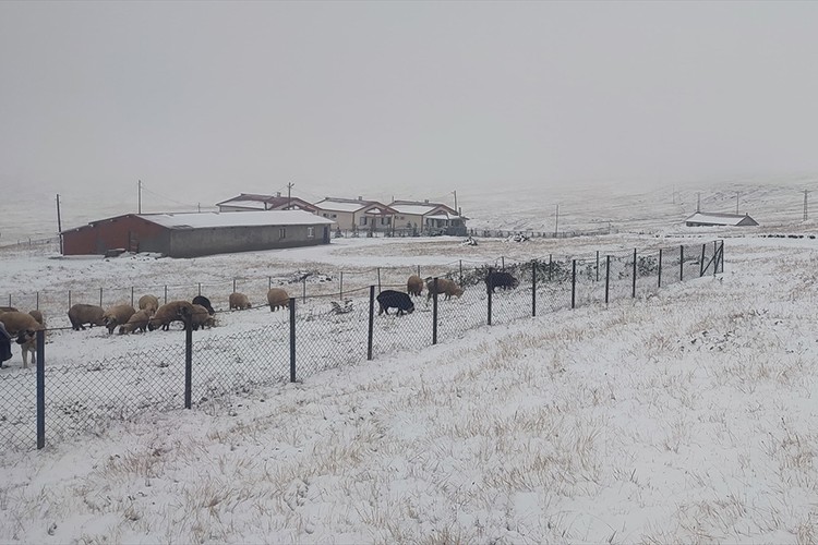 Doğu Karadeniz'in yüksek kesimleri beyaza büründü
