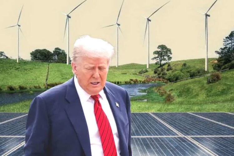 Trump'tan güneş ve rüzgar enerjisine veto