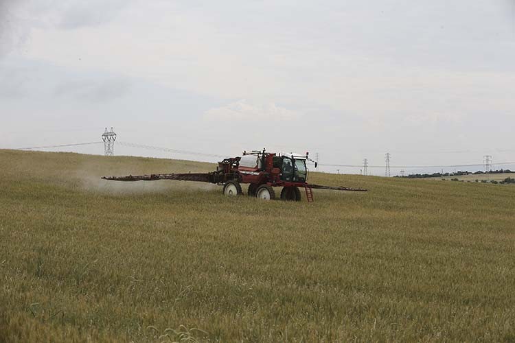 Süneyle mücadele alarmı