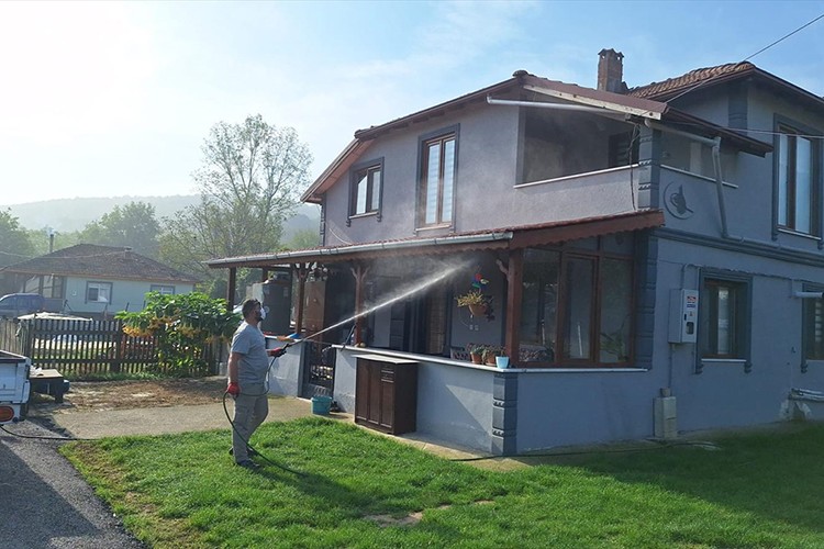 Sakarya'da kahverengi kokarca etkin mücadeleyle sıkı takipte