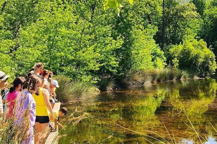 Korunan alanlarda ziyaretçi sayısında rekor kırıldı