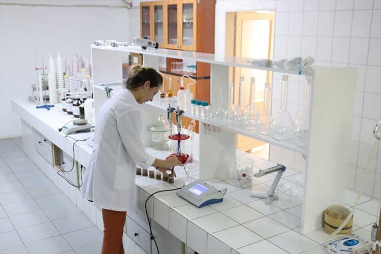 Fındık üreticilerine "toprak analizi yaptırın" çağrısı