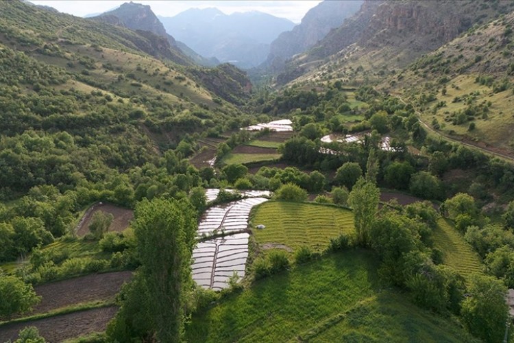 Irak sınırındaki Çukurca'da 5. kez Fotosafari ve Doğa Sporları heyecanı yaşanacak