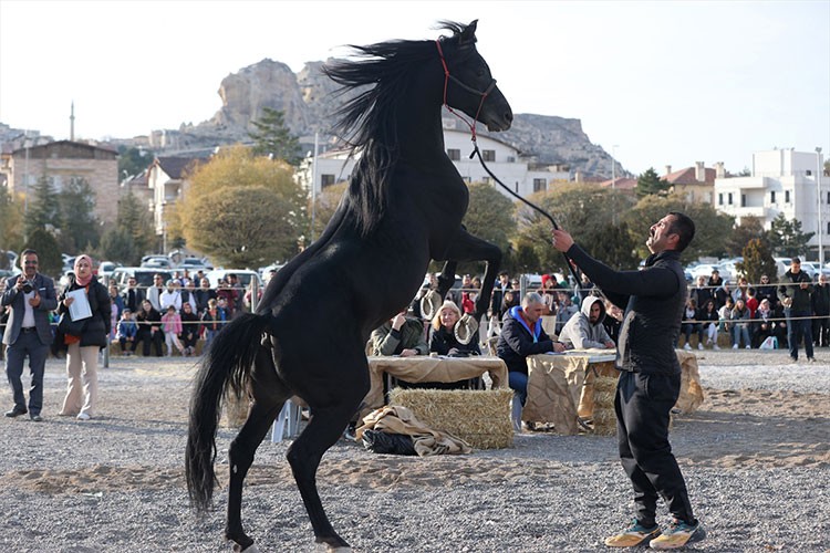Ürgüp'te "at güzellik yarışması" yapıldı
