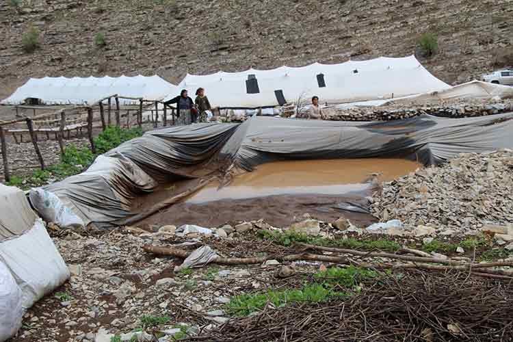 Şırnak'ta 205 küçükbaş hayvan telef oldu