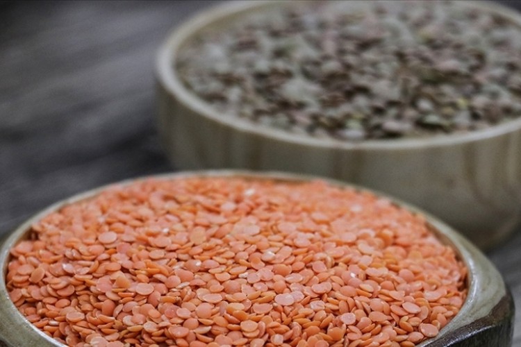 Hububat ihracatı ilk 6 ayda 5,9 milyar dolar oldu