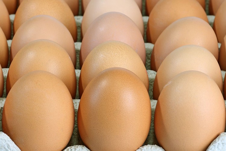 Yumurta sadece insanlar için değil, gezegenimiz için de sağlıklı