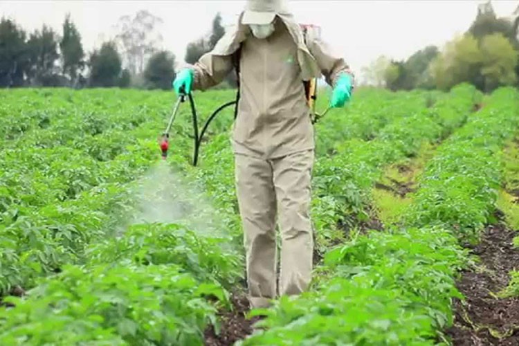 Bitkisel üretimde biyolojik mücadele destekleri belli oldu