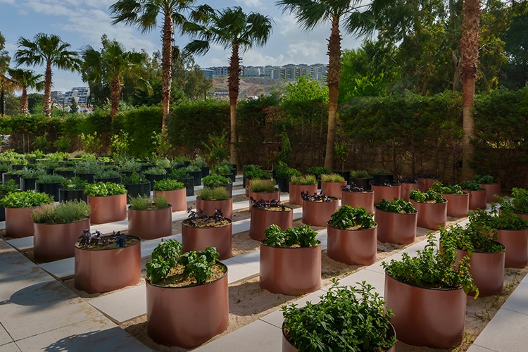 Liberty Hospitality Group, karbon salınımını yüzde 10 azaltmayı hedefliyor