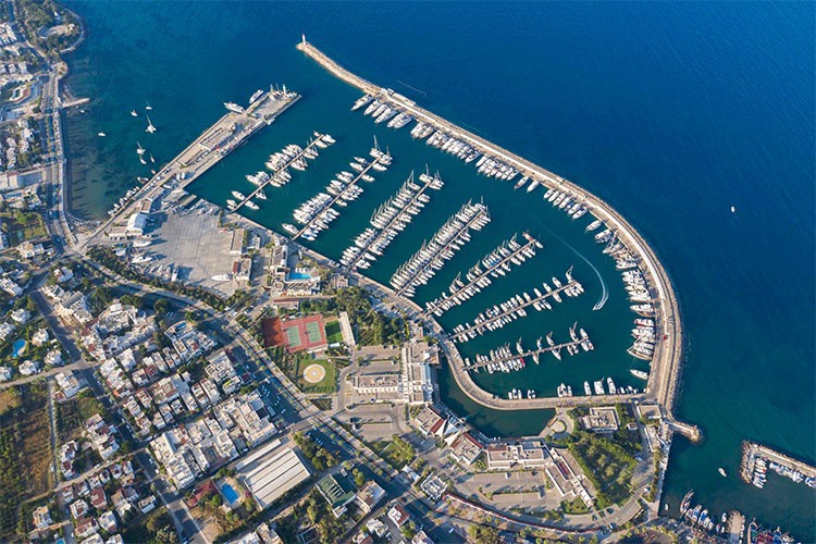 D Marin 2024'te büyümesini sürdürdü