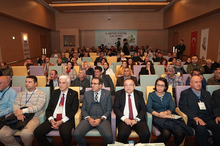 Antep fıstığı üretiminin geliştirilmesine yönelik çalıştay yapıldı