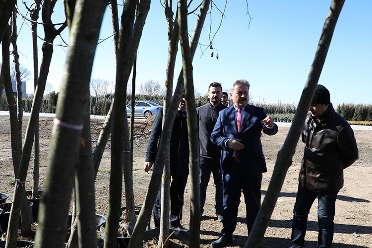 TIR TIR ağaçlar Melikgazi için geliyor