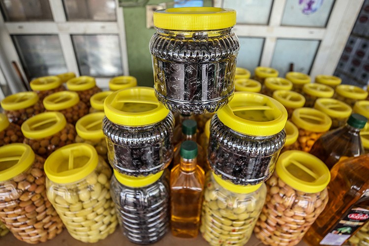 Gemlik zeytininin marka değeri artacak