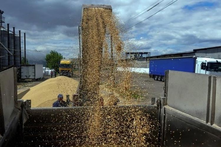 Tahıl sevkiyatı için seri görüşmeler