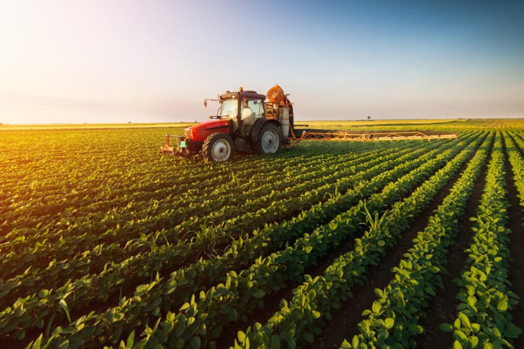 Tarım ÜFE yüzde 1.76 arttı