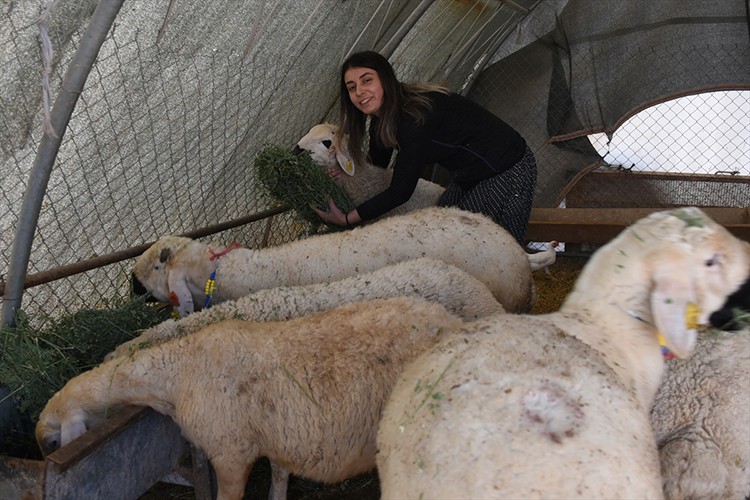 Besiciliğe başlayan kadın 250 hayvana ulaştı